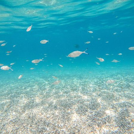 Complejo Turistico Los Bayiyos Agua Amarga  Extérieur photo